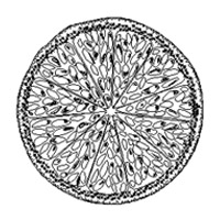 ���C��sample